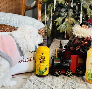 ALOE VERA GEL